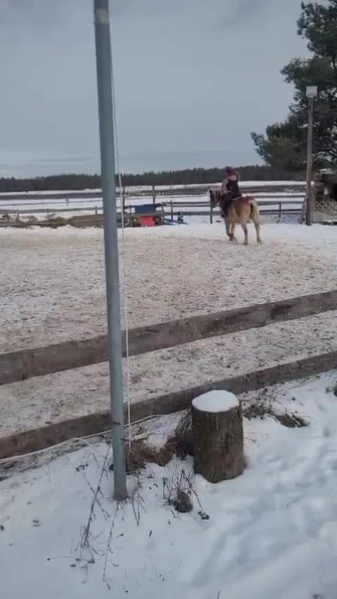 @TA OD KUCYK&Oacute;W🐴🐎