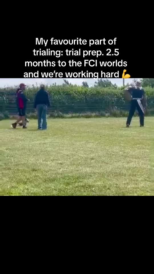 @thedogsportscoach