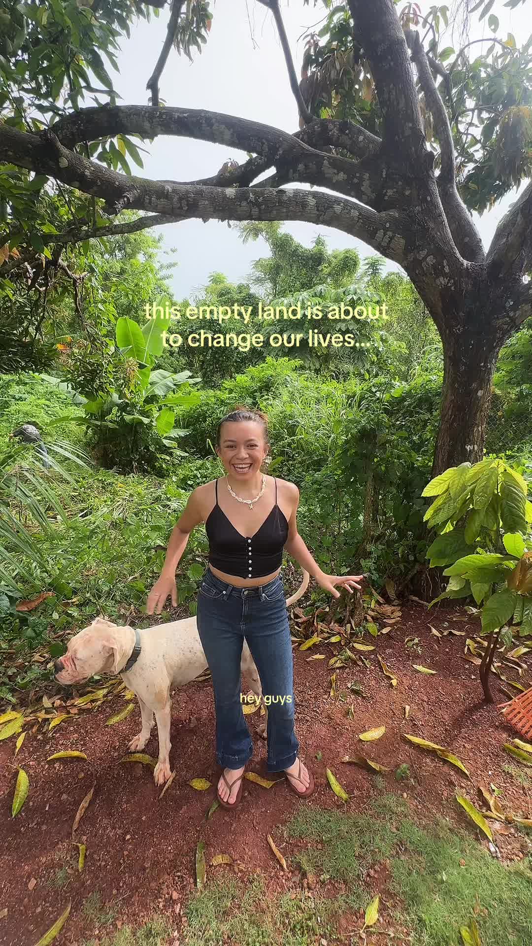 @avyabroad