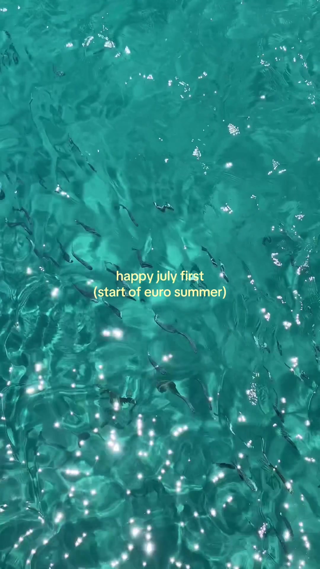 @george ⋆˙⟡