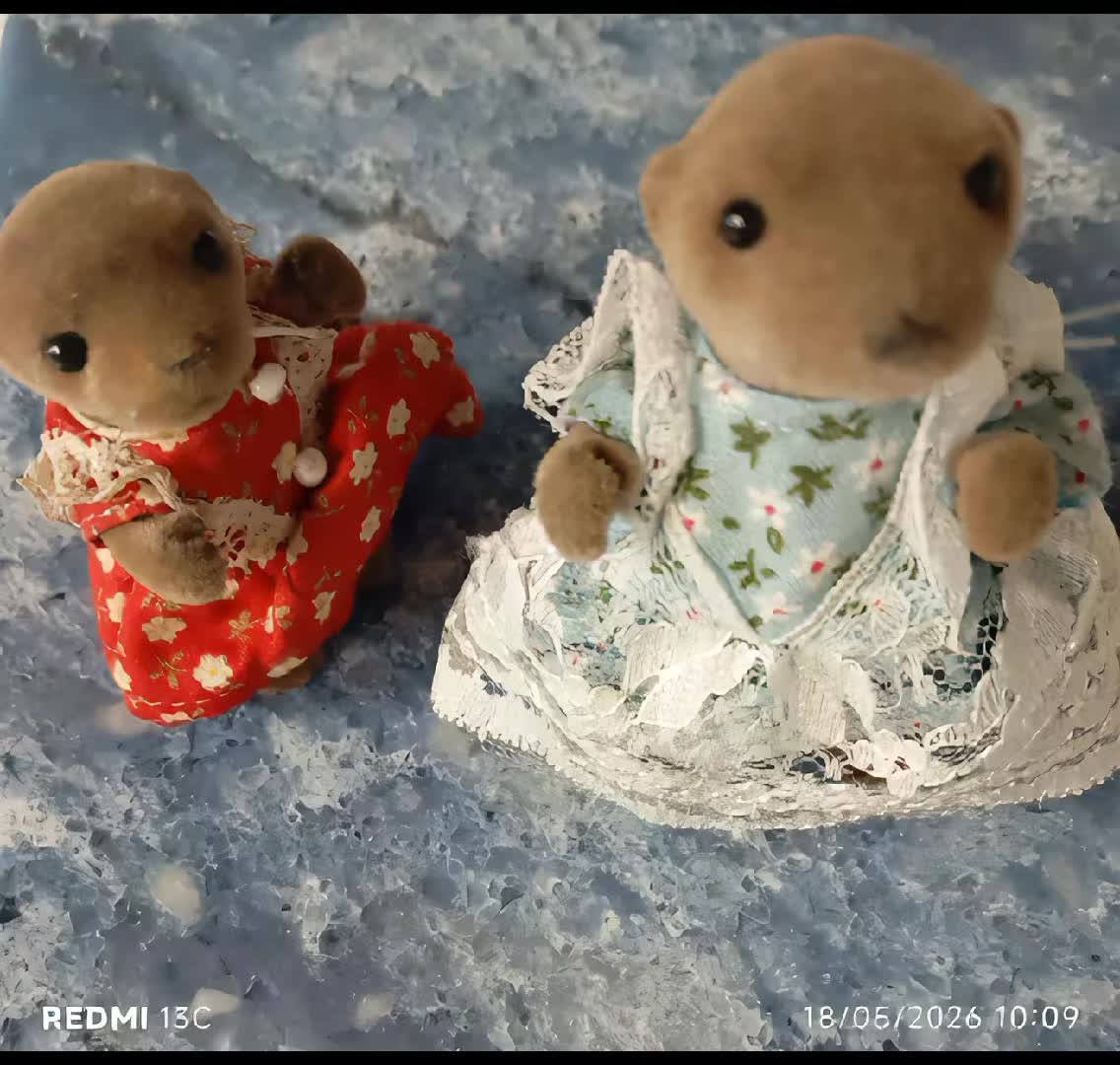 @Not-Just-Sylvanian-IOW ❤️
