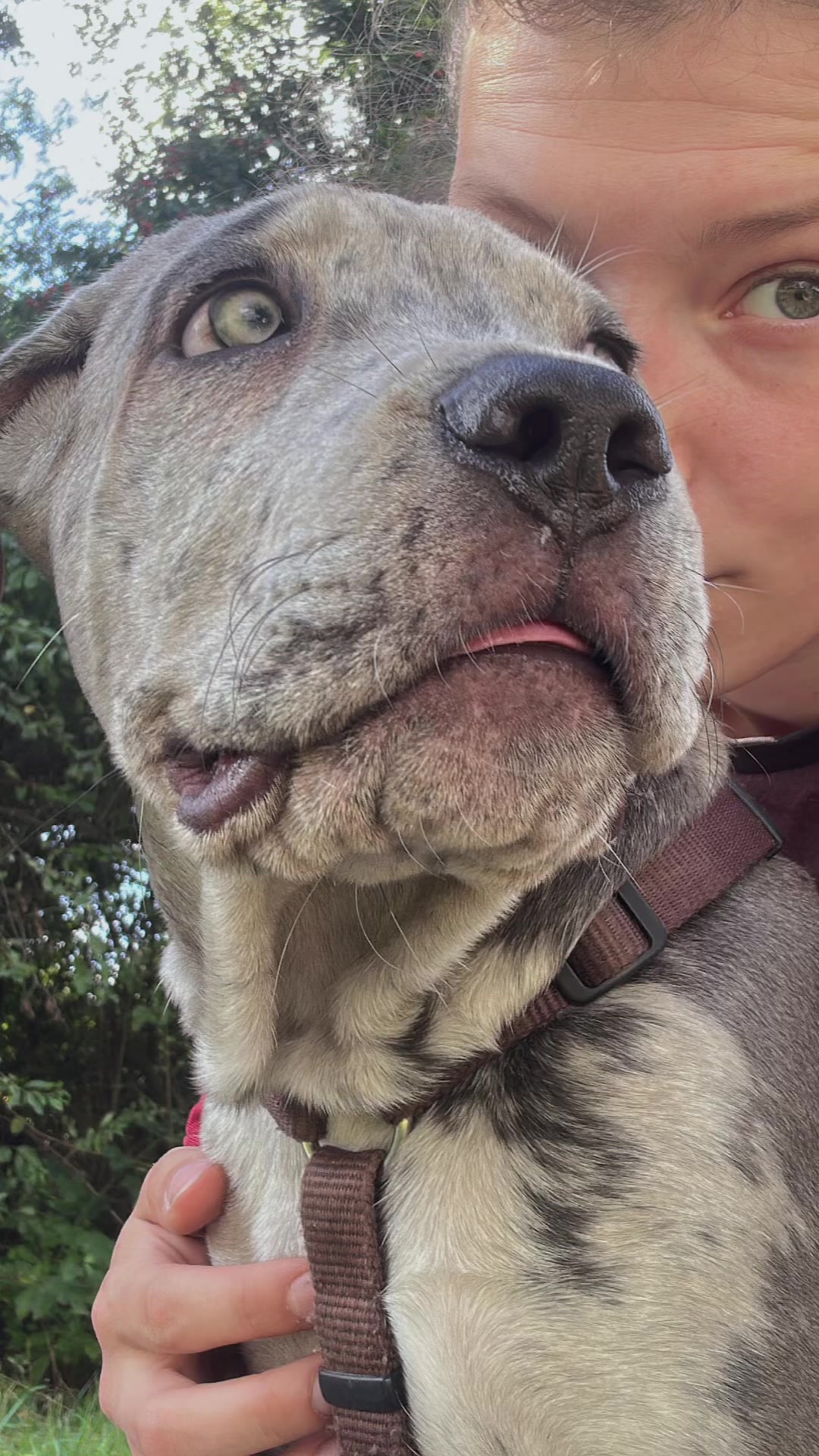 @✨Lou~CaNeCorSo✨