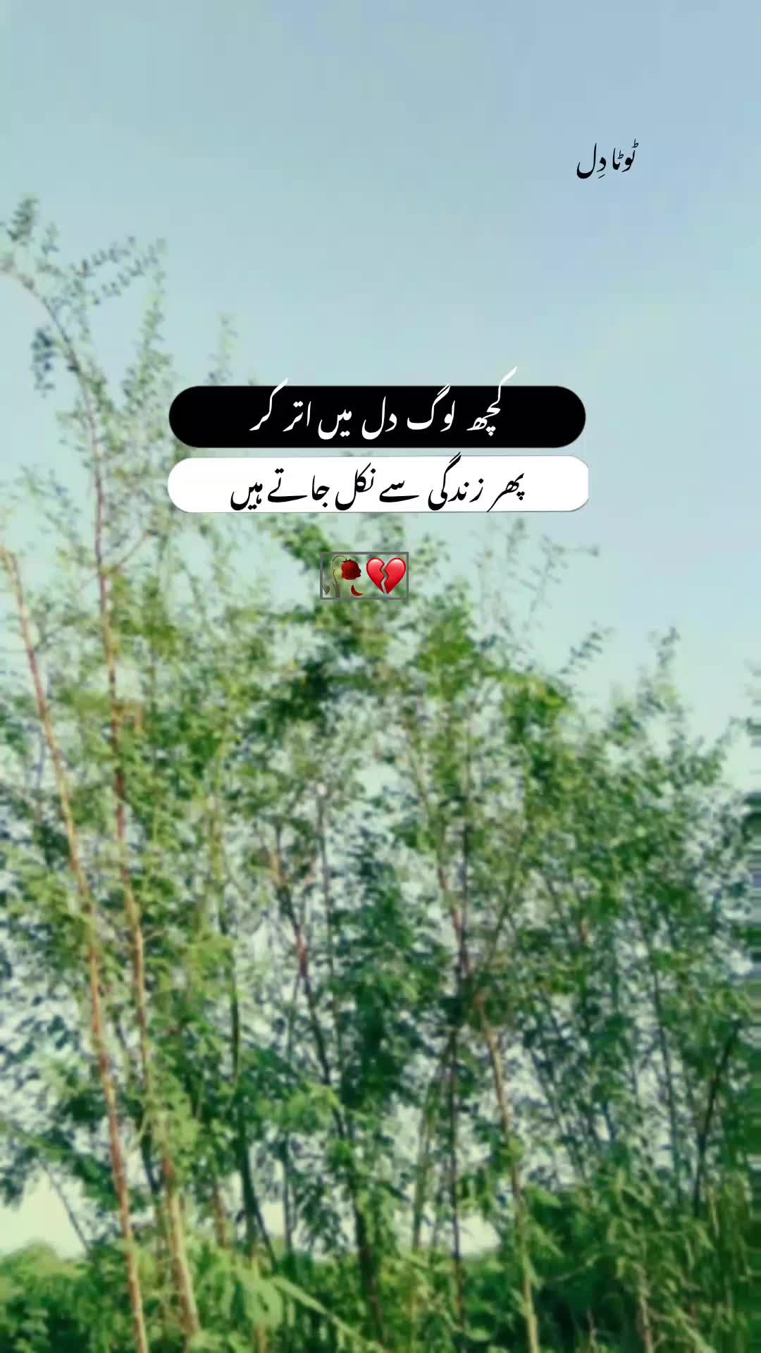 @🖤☬ ٹوٹا دِل ☬🖤
