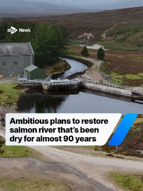 @STV News
