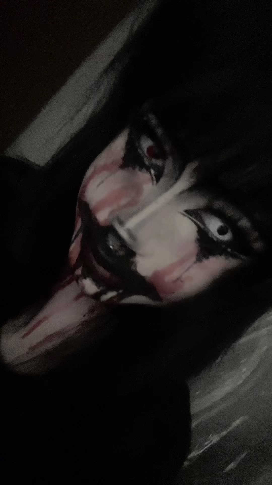 @૮₍ ˶•⤙•˶ ₎ა