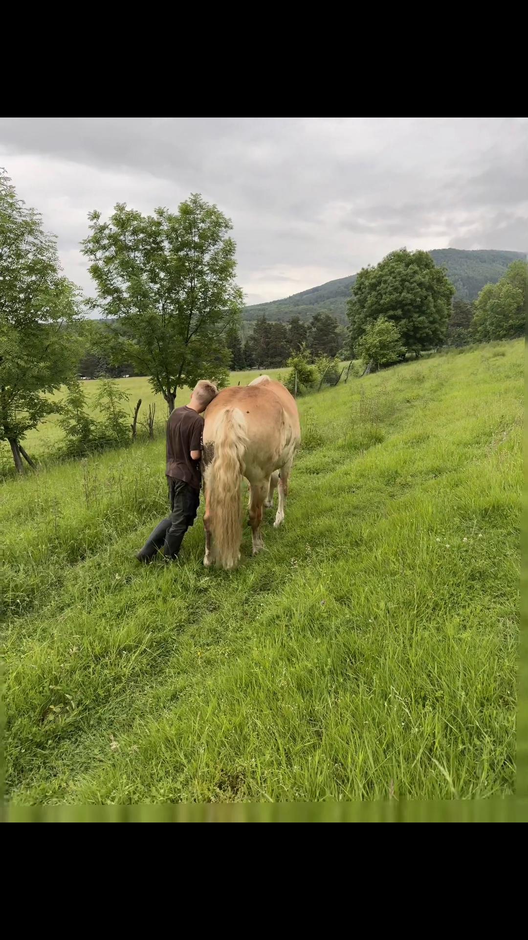 @HafiHorse2