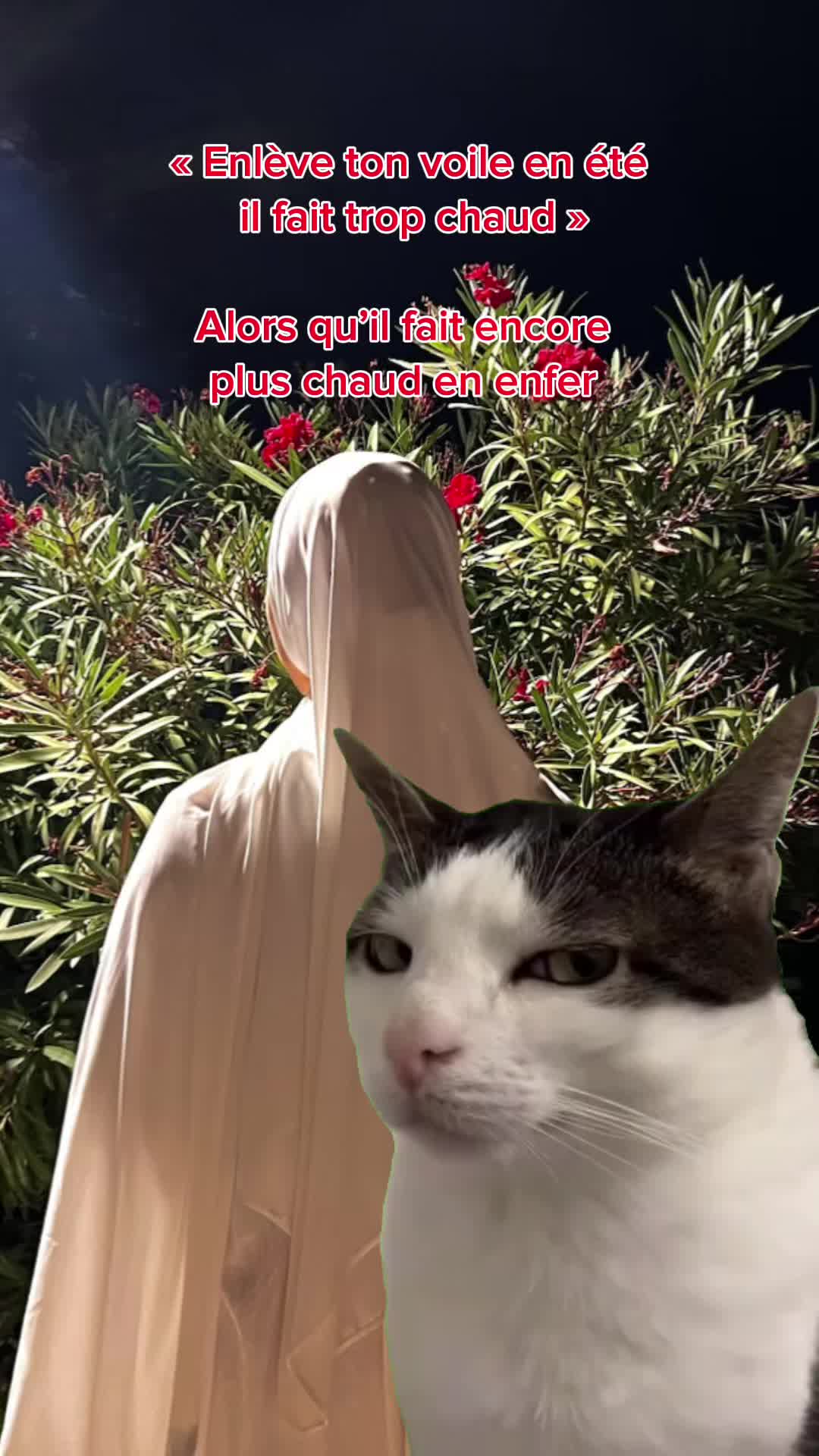 @Saf&aelig;🦒