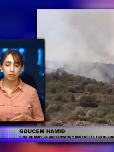 @Berberetelevision
