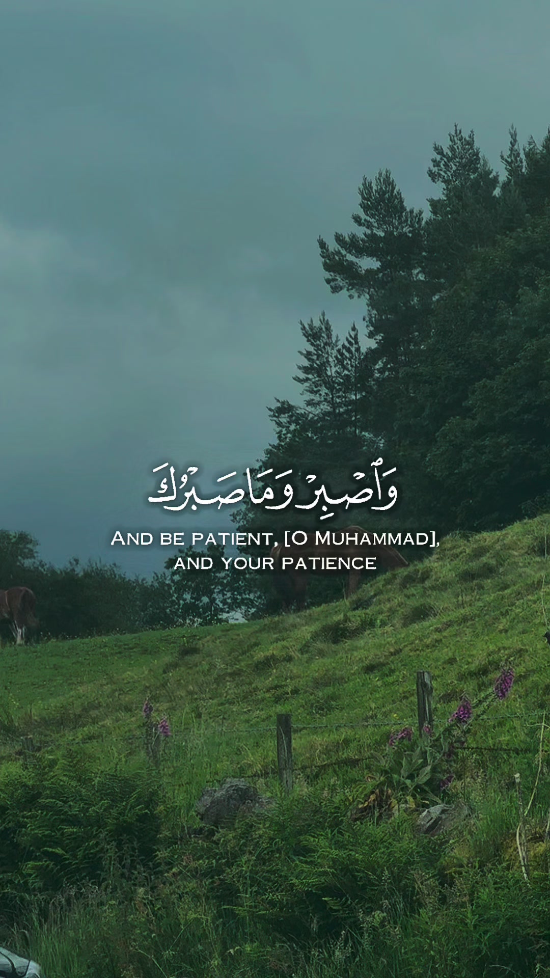 @maqrafiq