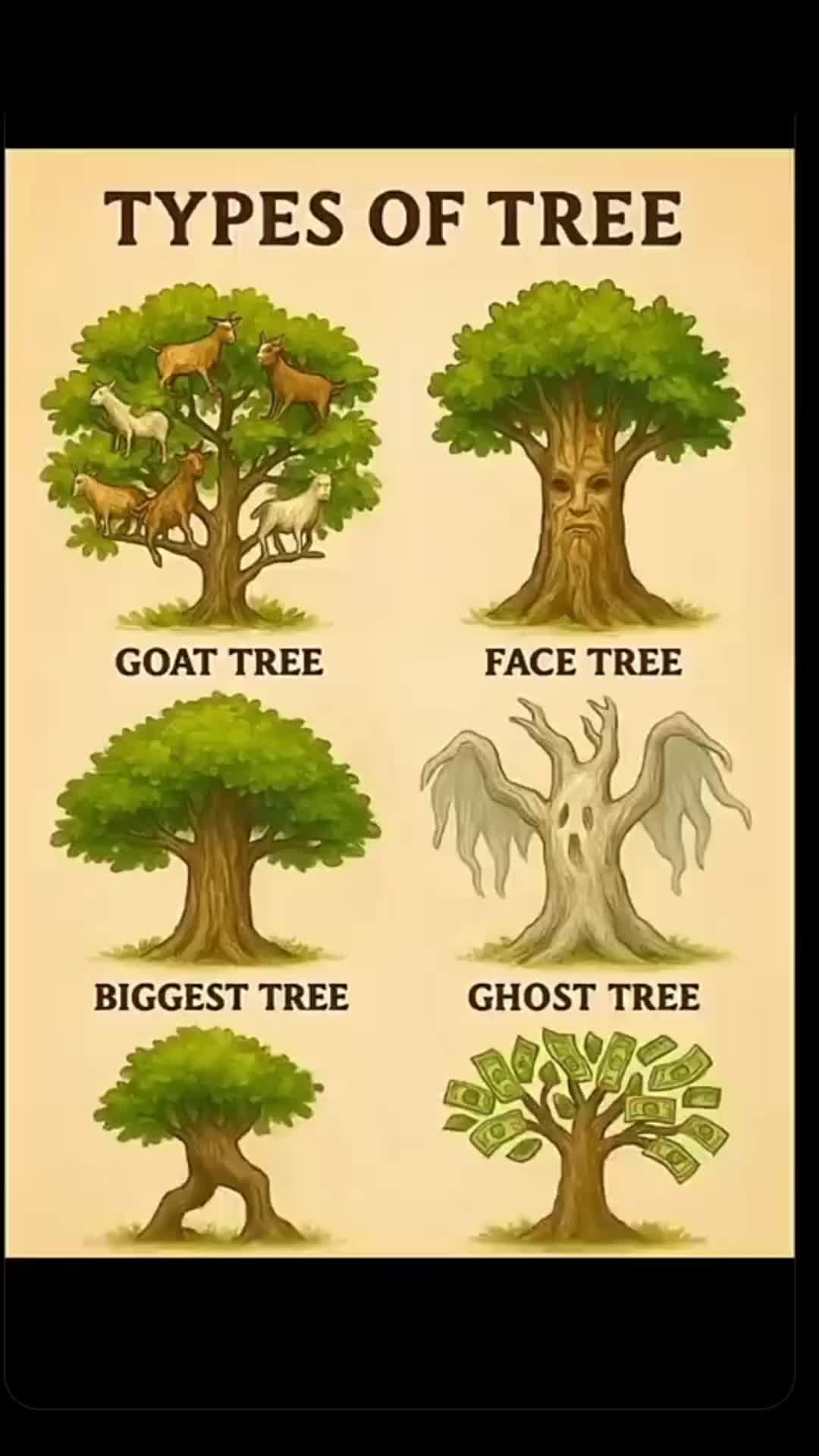 @World Creature🤯