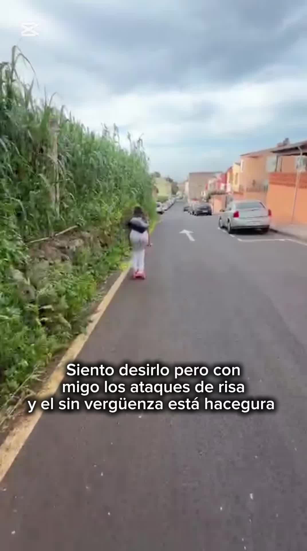 @laurisilva.012