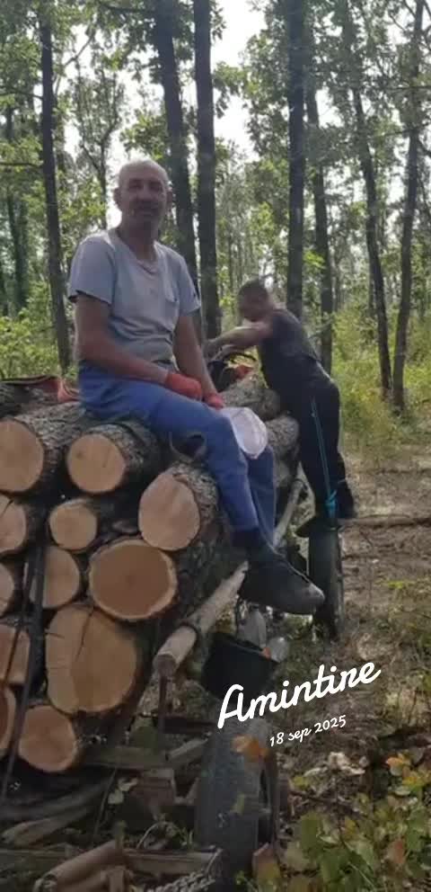 @Nicolae Stănescu