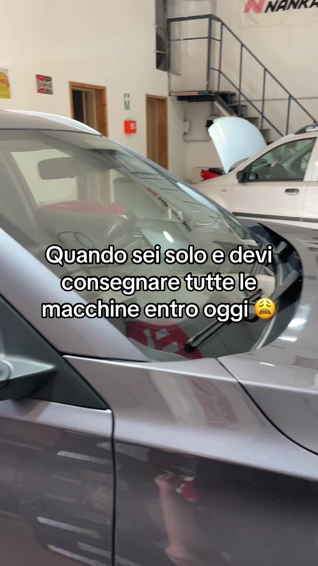 @Stecar Gomme