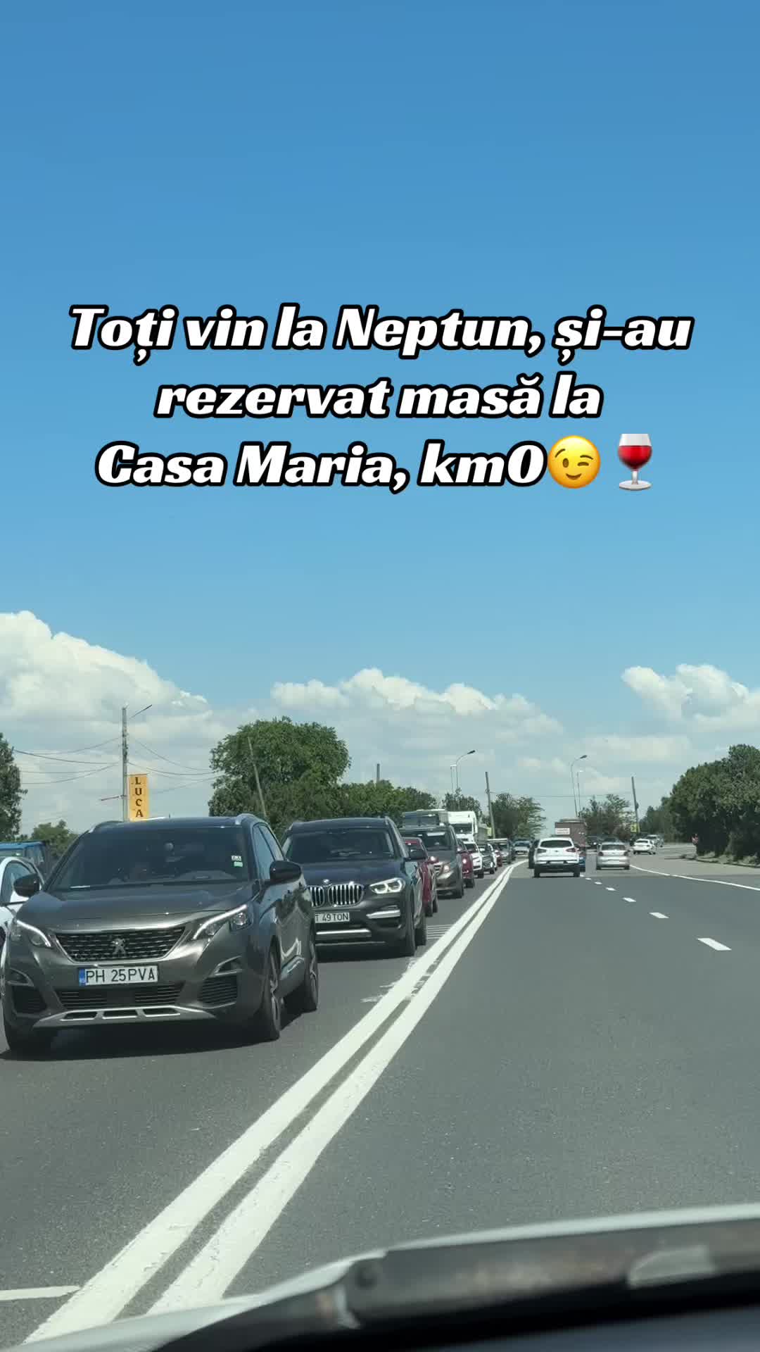 @Eliza Zbanț🩷