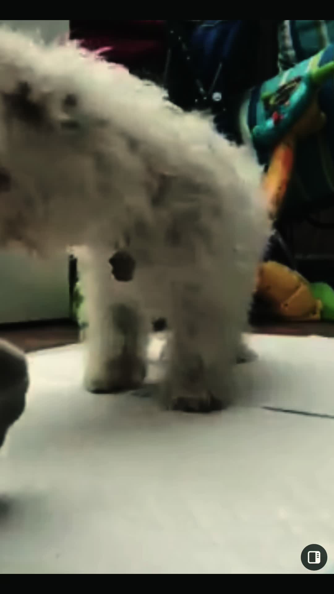 @SHERRALEE|PETLOSS|MENTALHEALTH