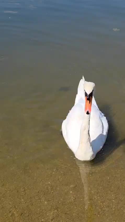 @parkwächter_bill