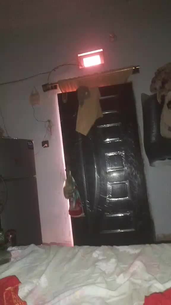 @shehzadi
