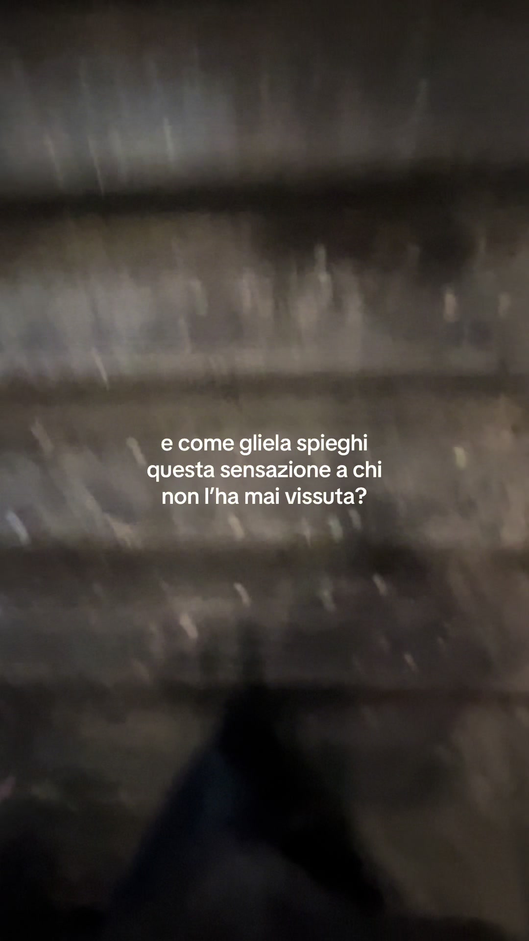 @carla rapisarda