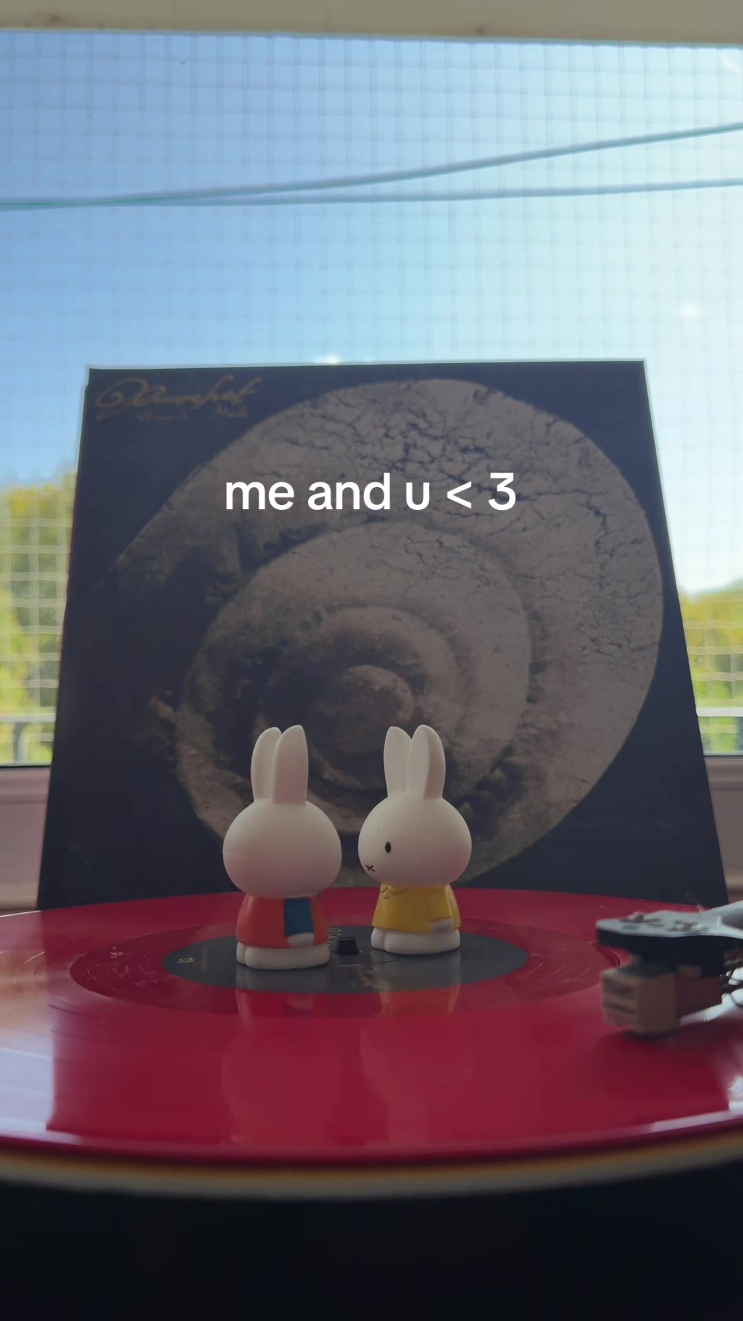 @⋆⭒˚.⋆ ⋆⭒˚.⋆ ⋆⭒˚.⋆