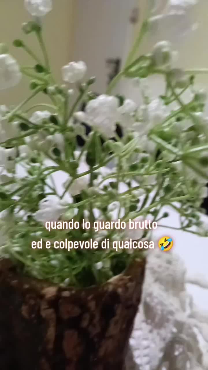 @Emy ❤️Morgan❤️Naomi❤️