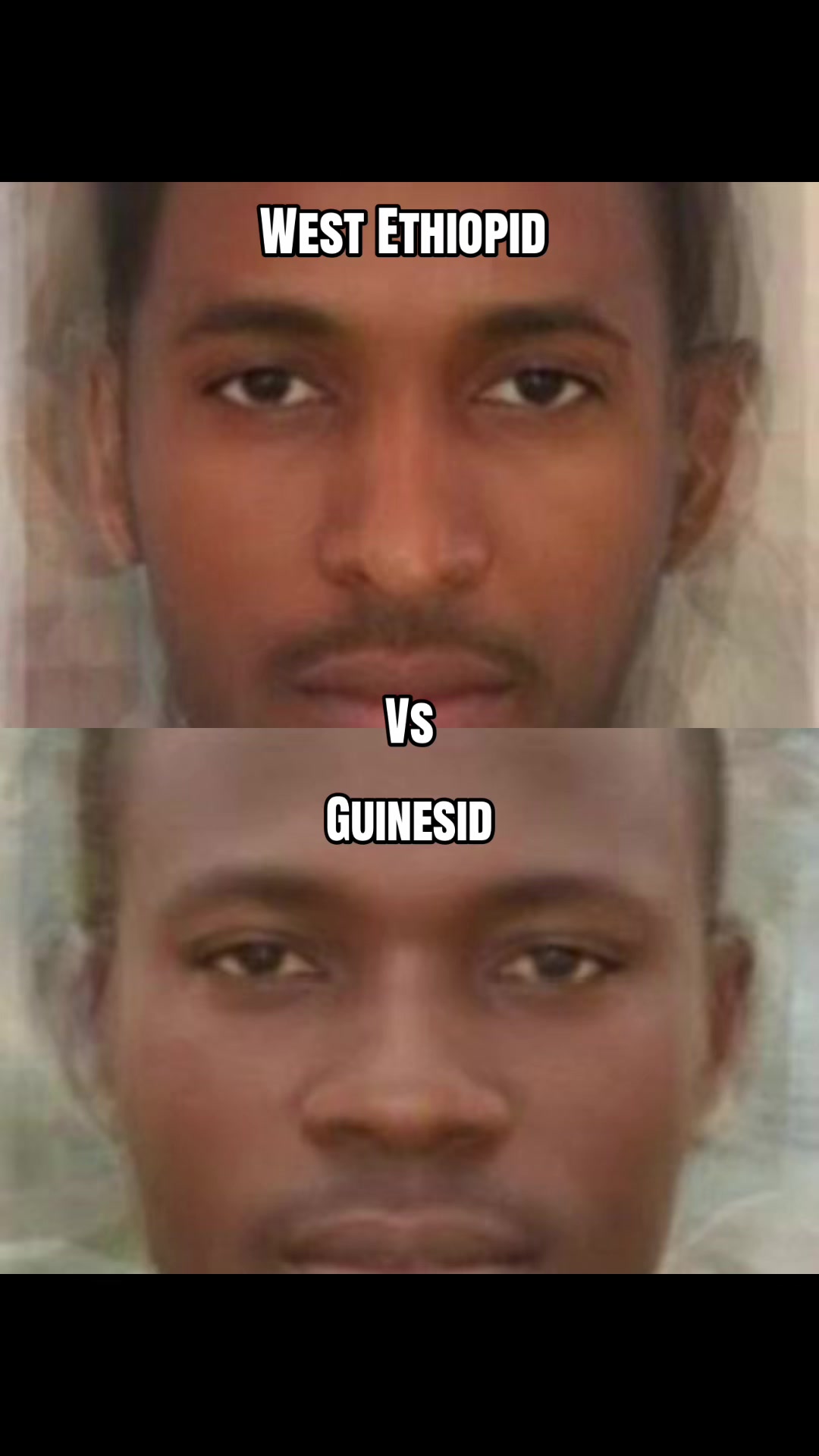 @nigercongolid