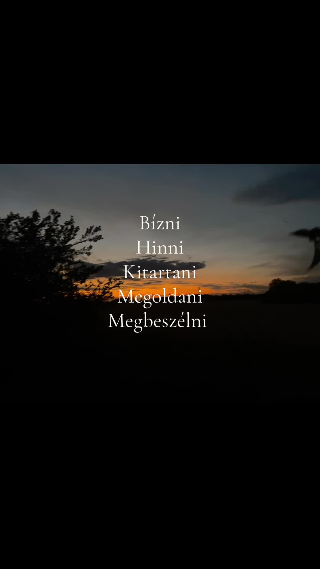 @Mirike✨🤍