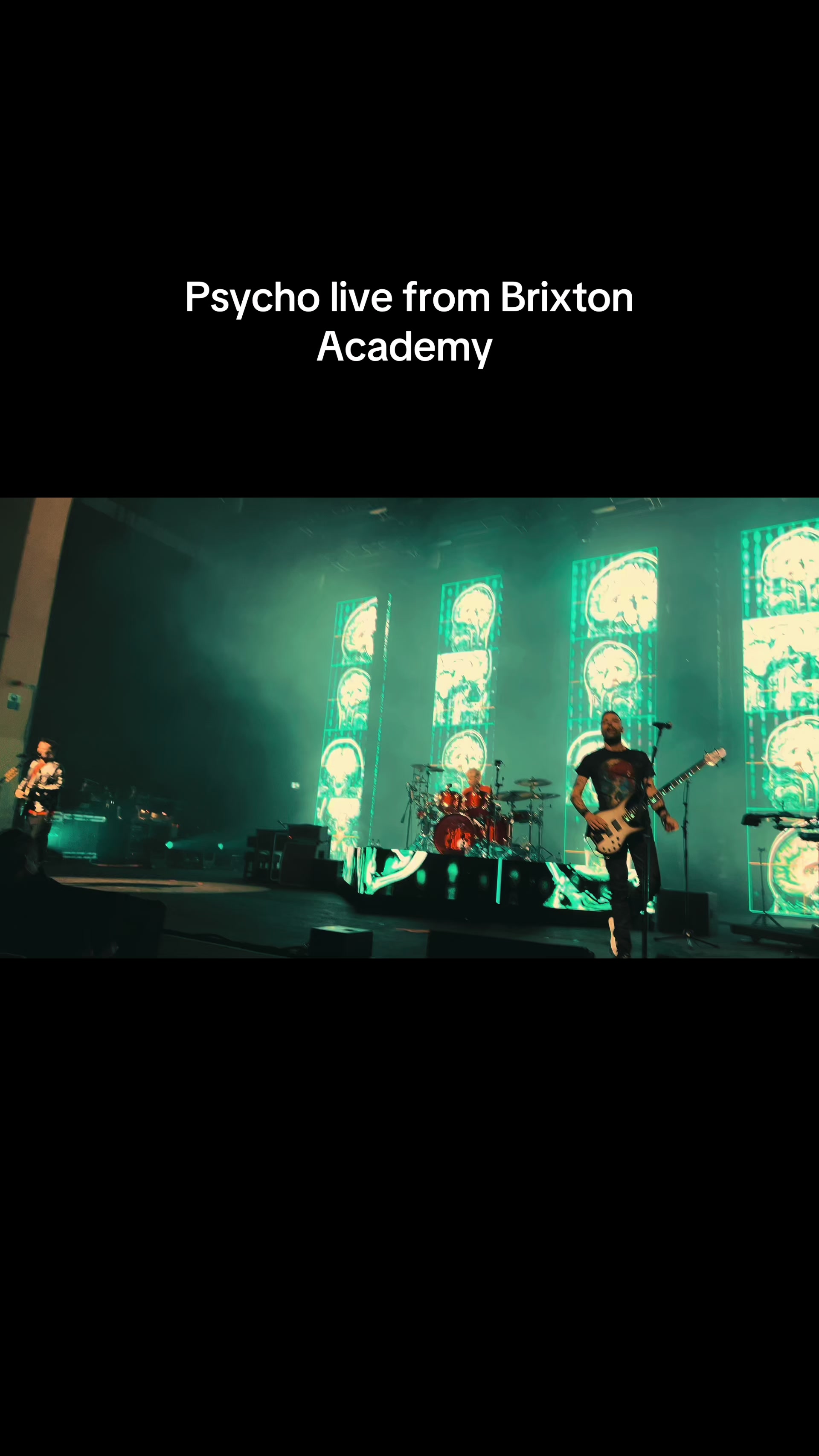 @That Muse Kid 🎸