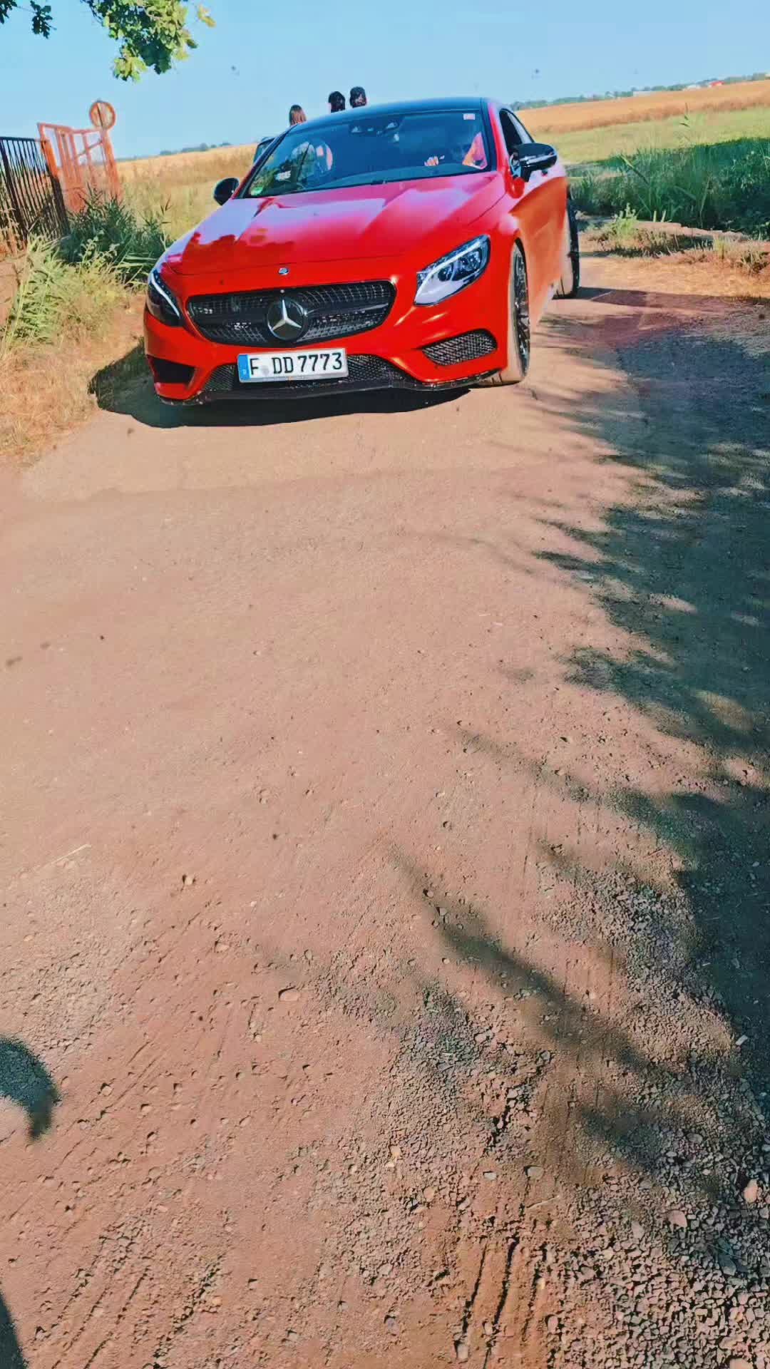 @🐜Furnicuța🐜