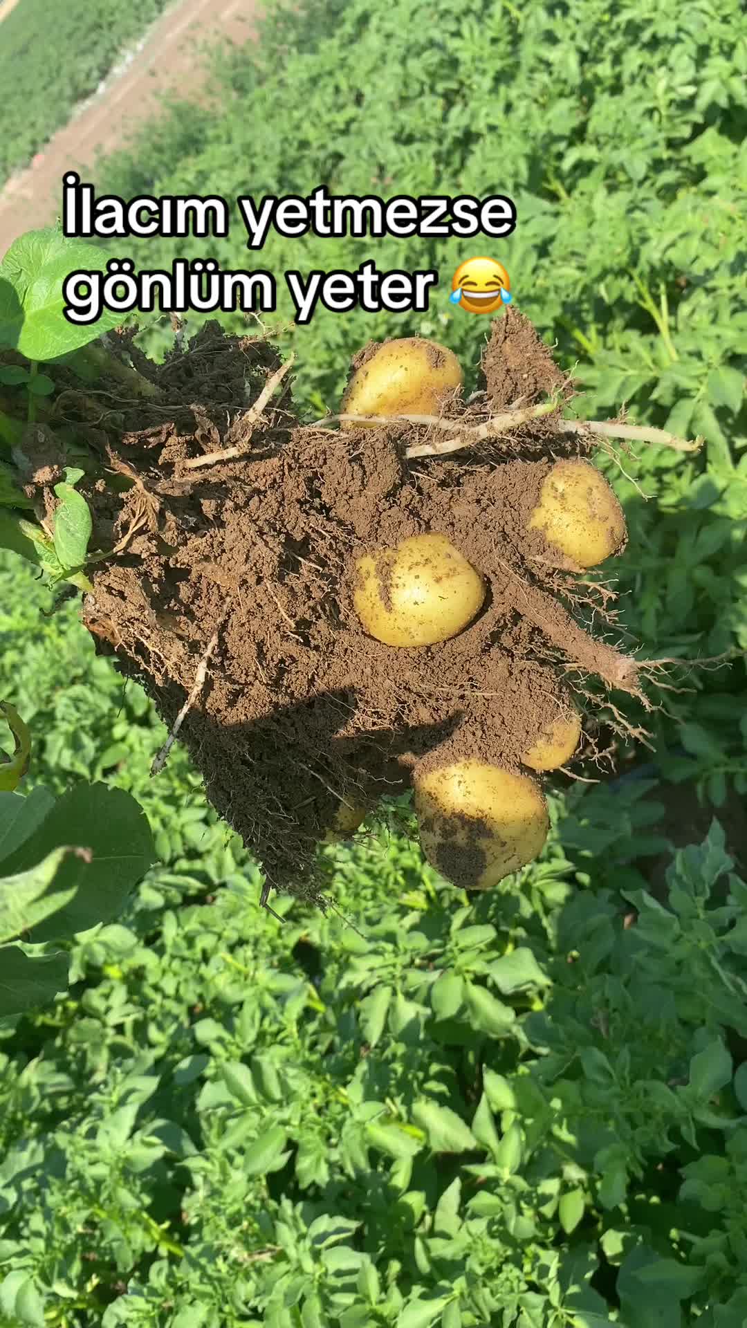 @Murat Babacan Atıcı