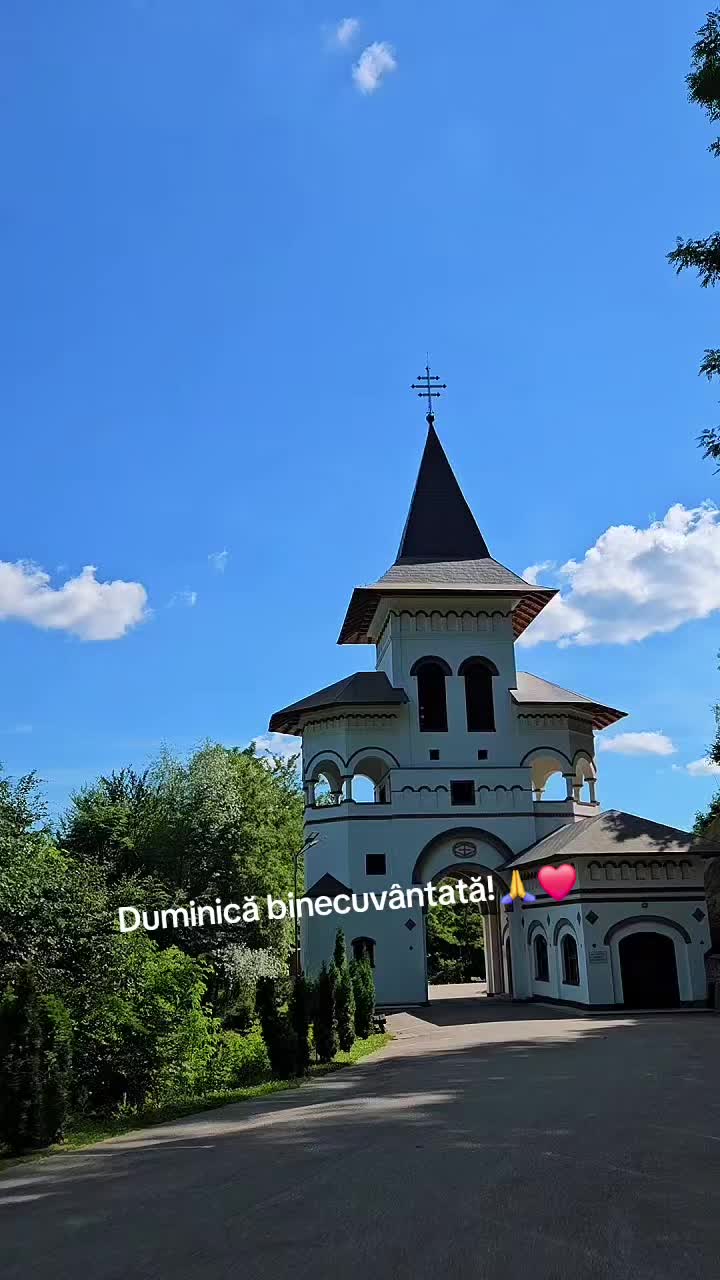 @Nița Foitoș