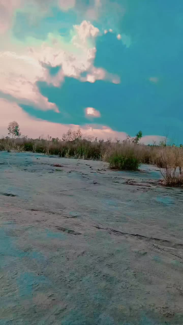 @JA khani