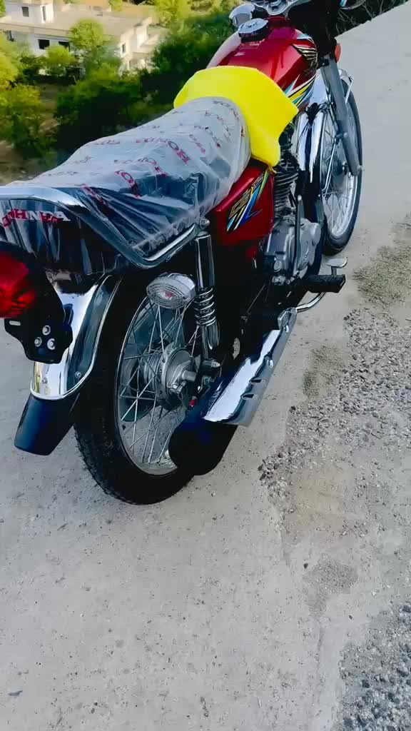 @Zalimcd70