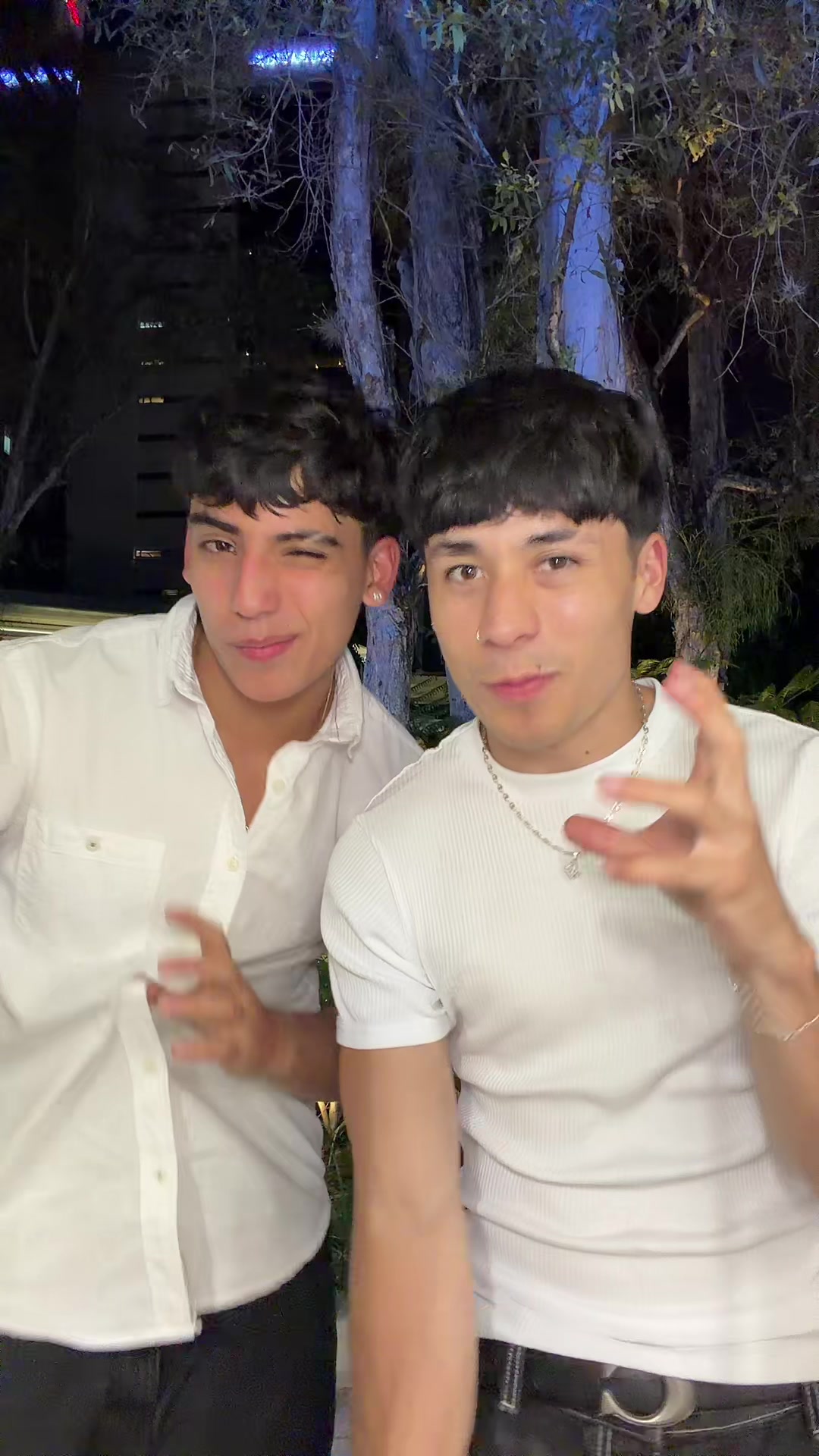 @Sebs 💎