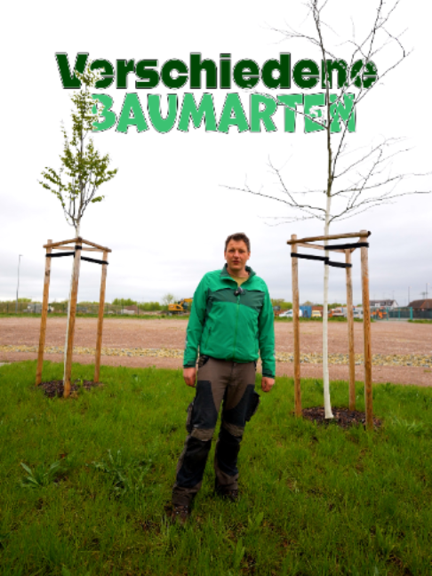 @BTS Gartenwerk Erfurt