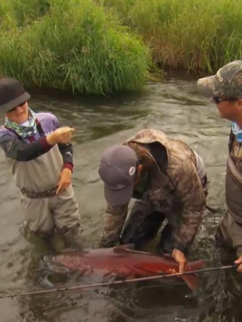 @Fishing TV