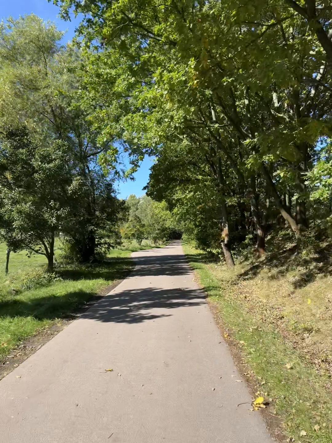 @Elisei