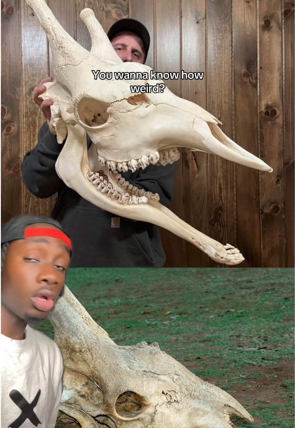 @mndiaye_97