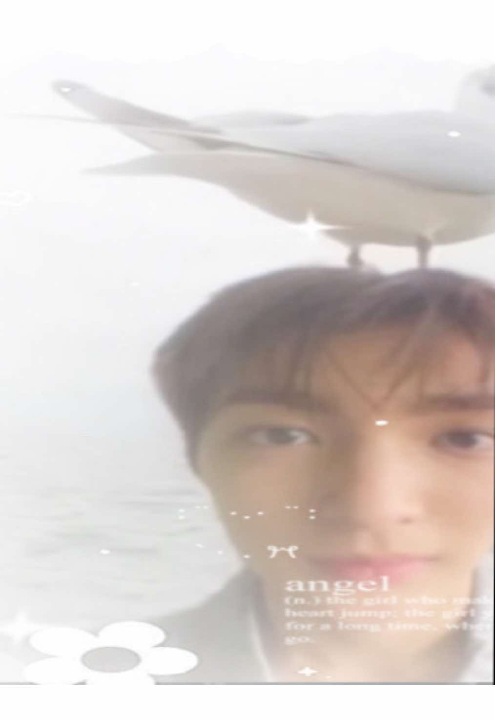 @𝑀𝑜𝑜𝑛 ⋆౨ৎ˚ 𝒦𝑒𝑜𝓃  𝐼𝓇𝑜