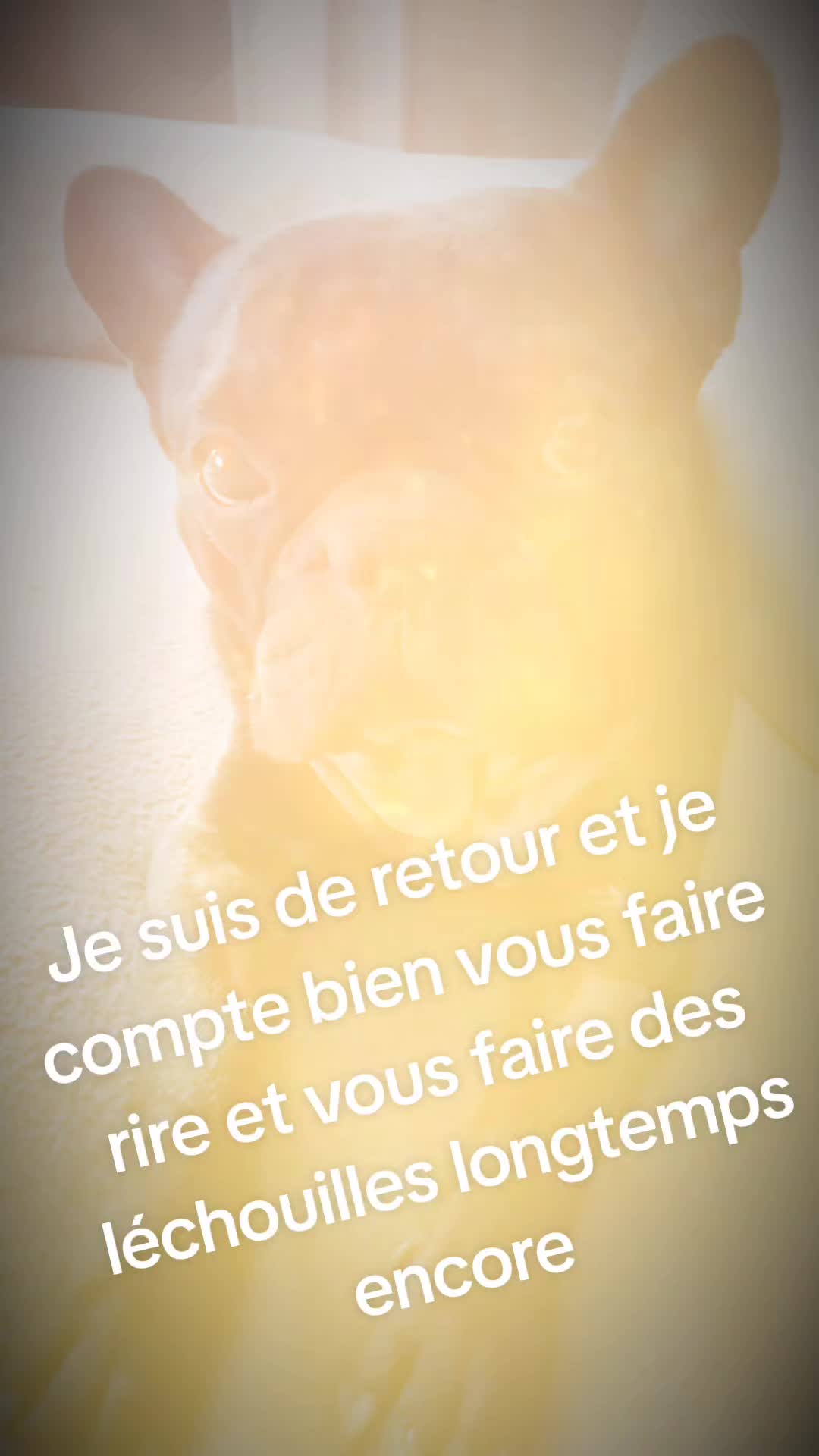 @Mimie221277