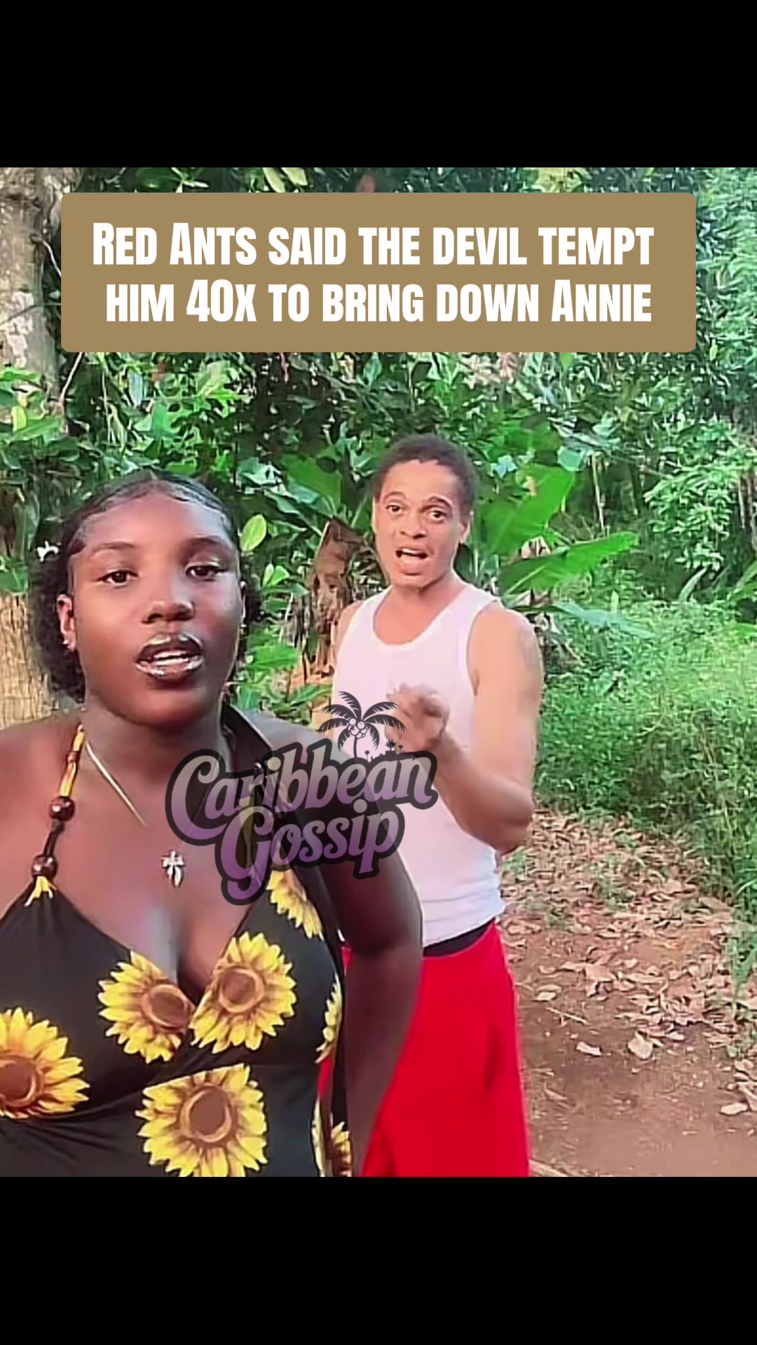 @✨Caribbean Gossip✨