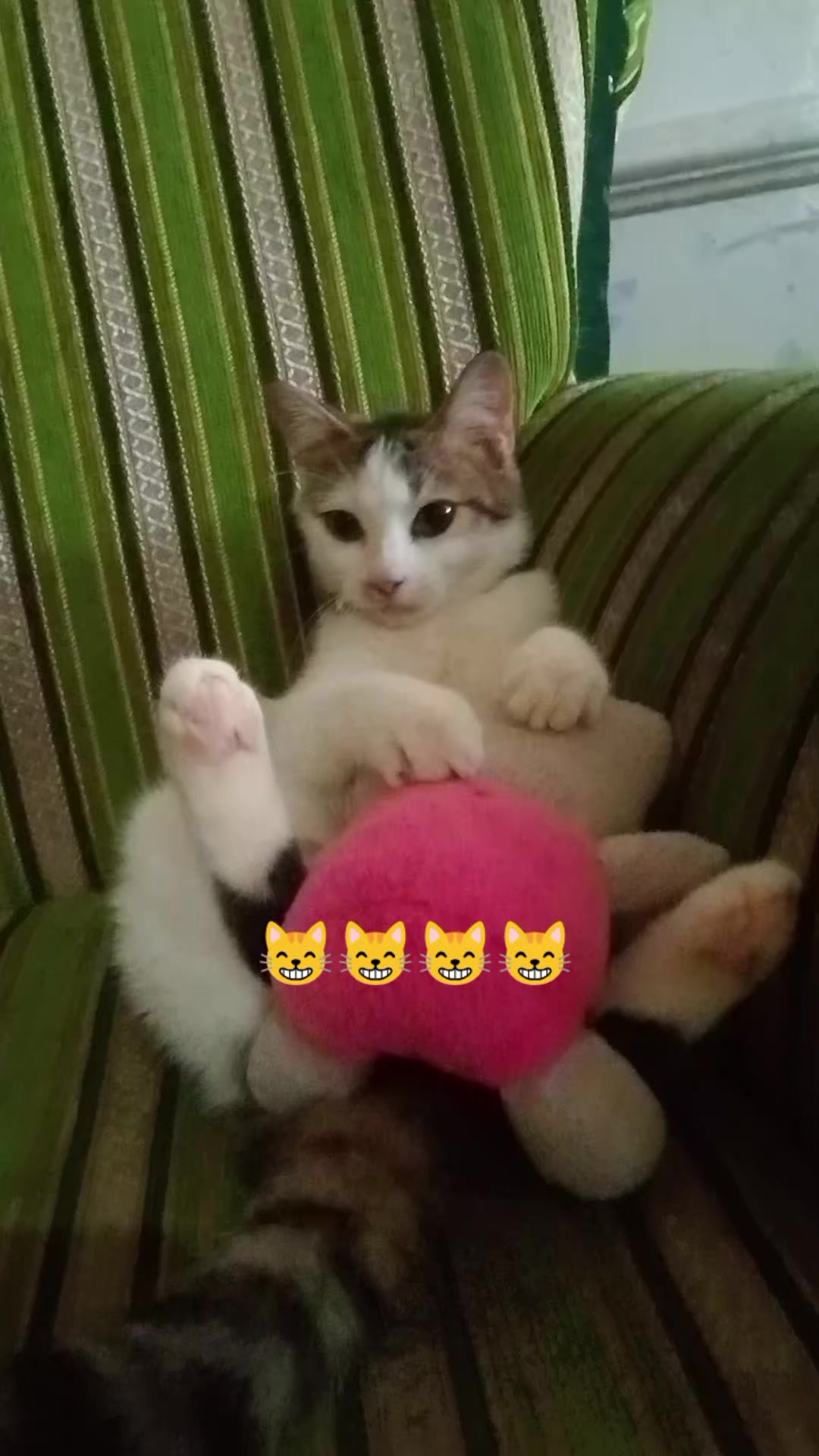 @Rizqi