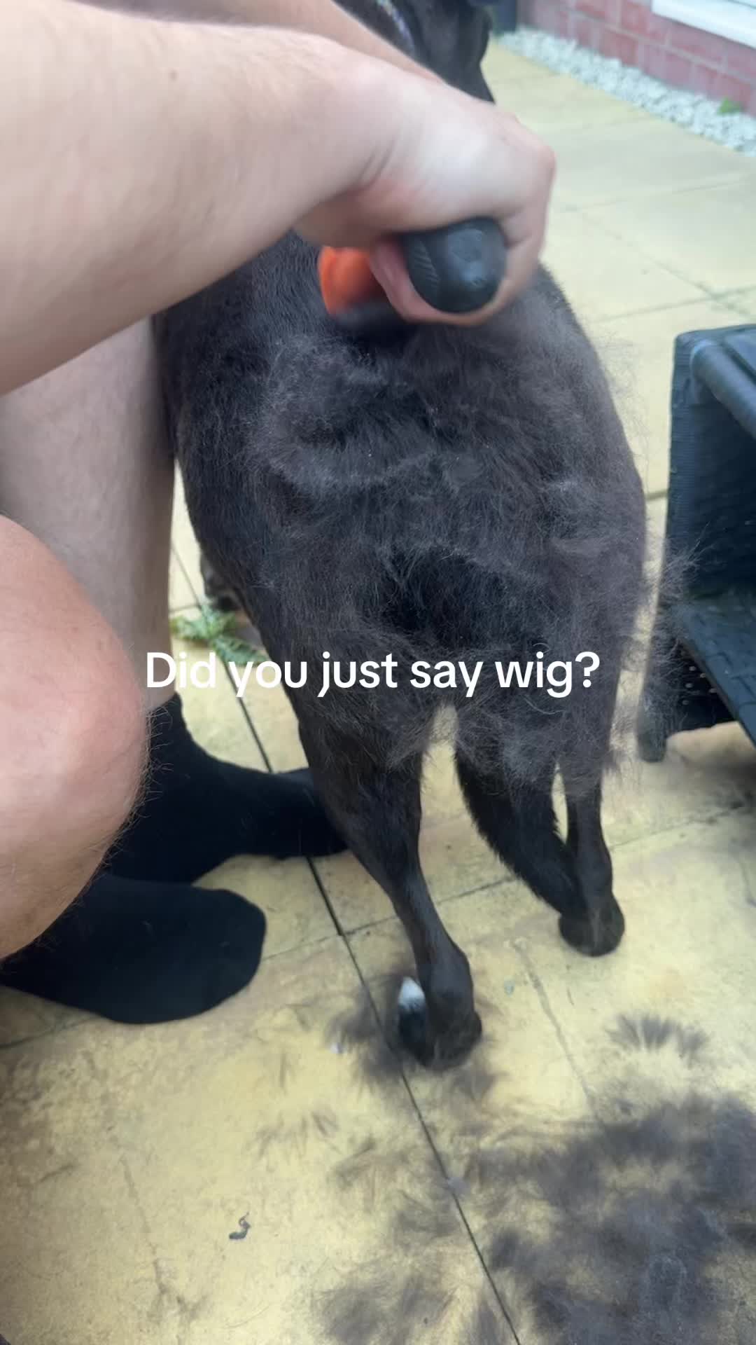 @Moll Ruston ๐