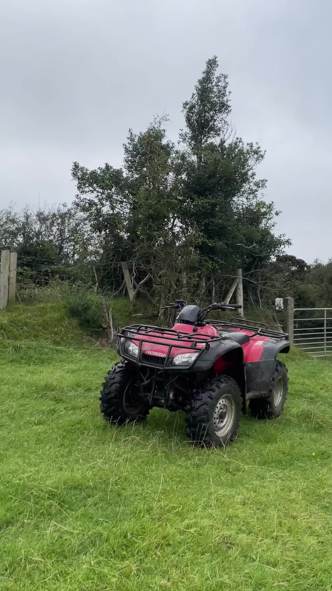 @conorquinn135