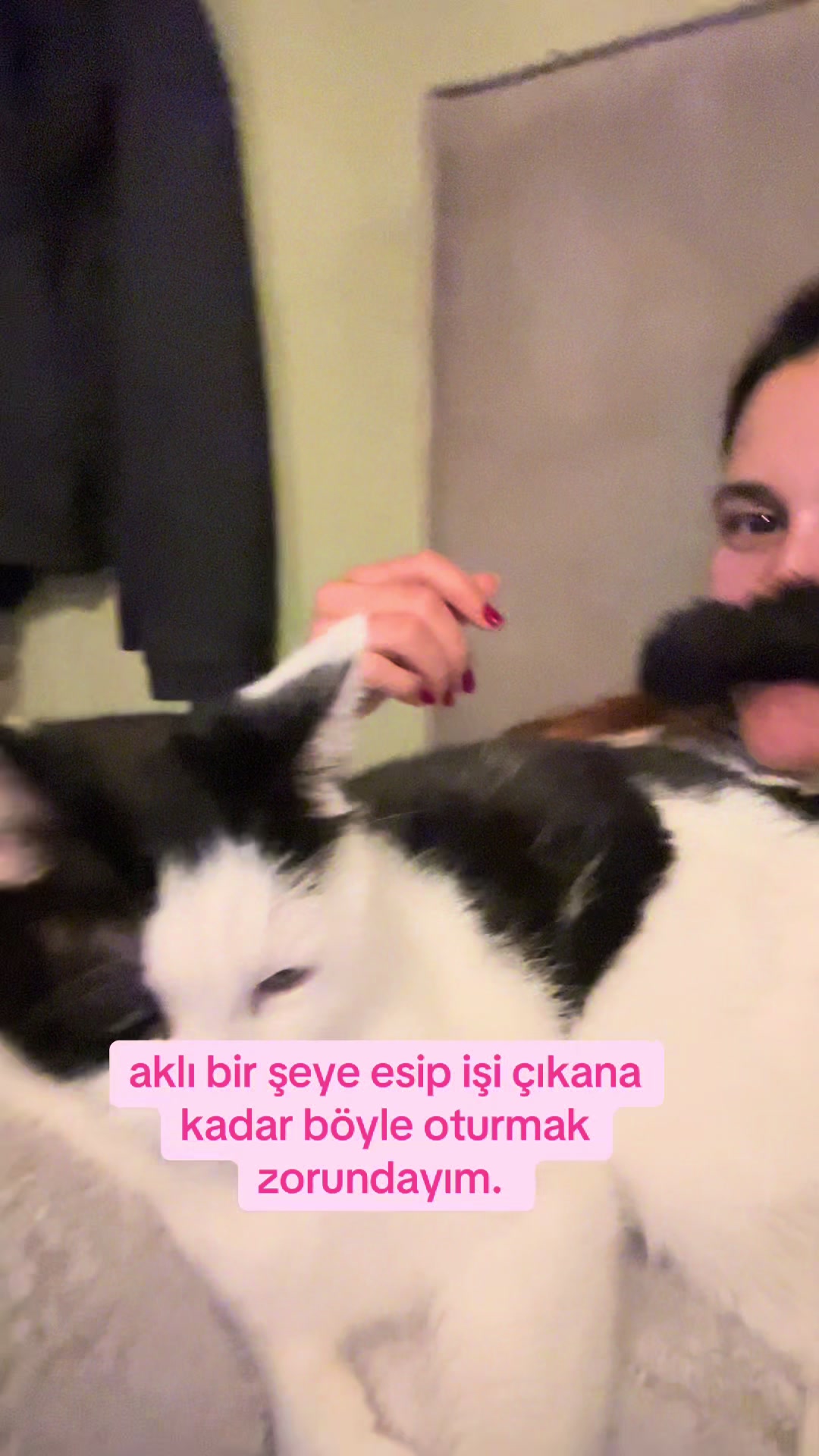 @Pinar Hana