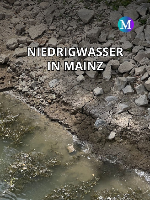 @Merkurist Mainz