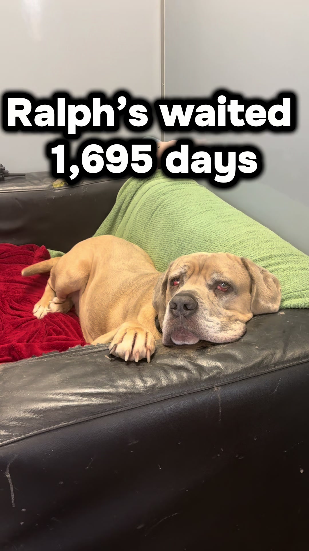 @RSPCA brighton