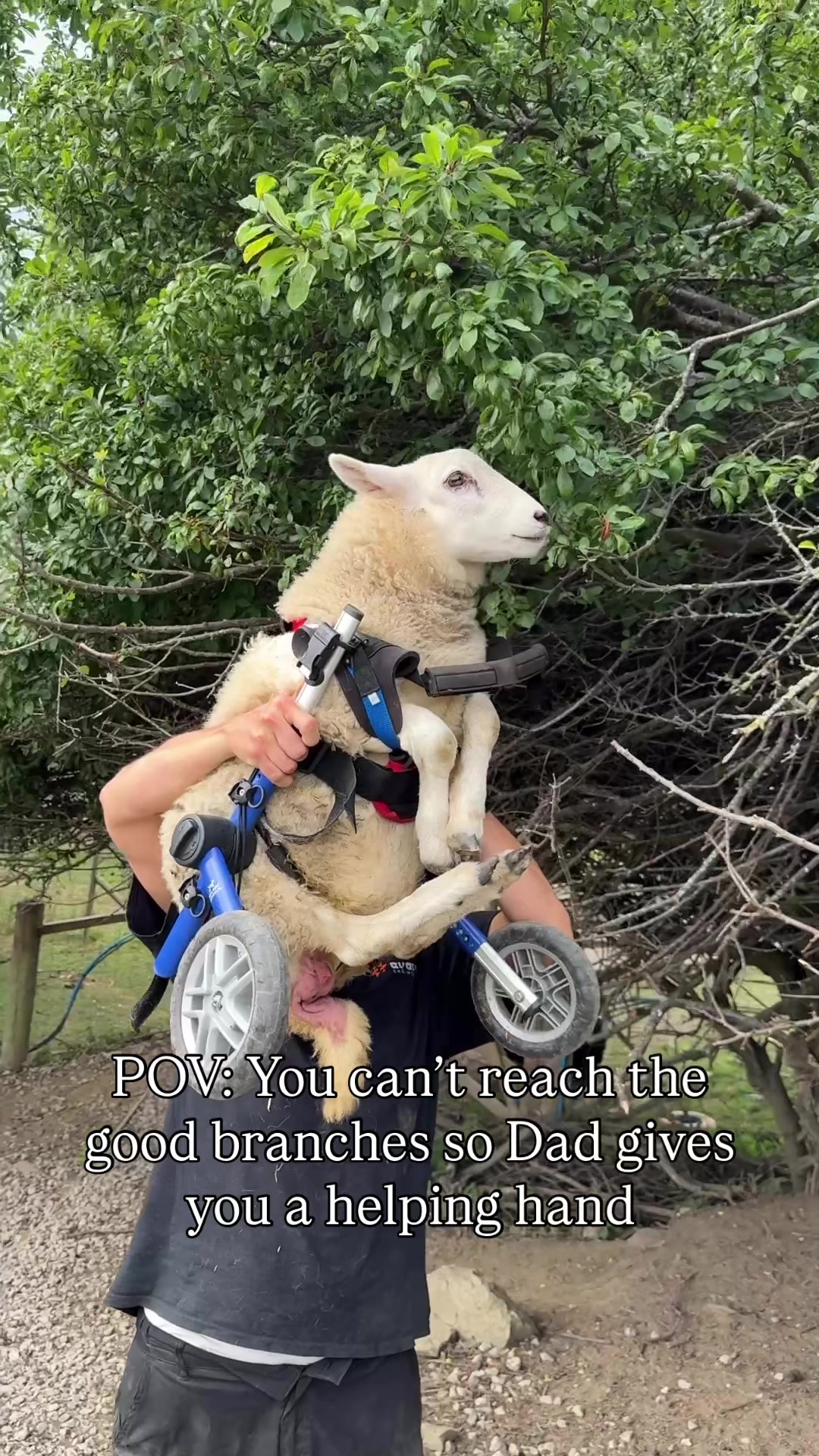 @itsthatfarmguy