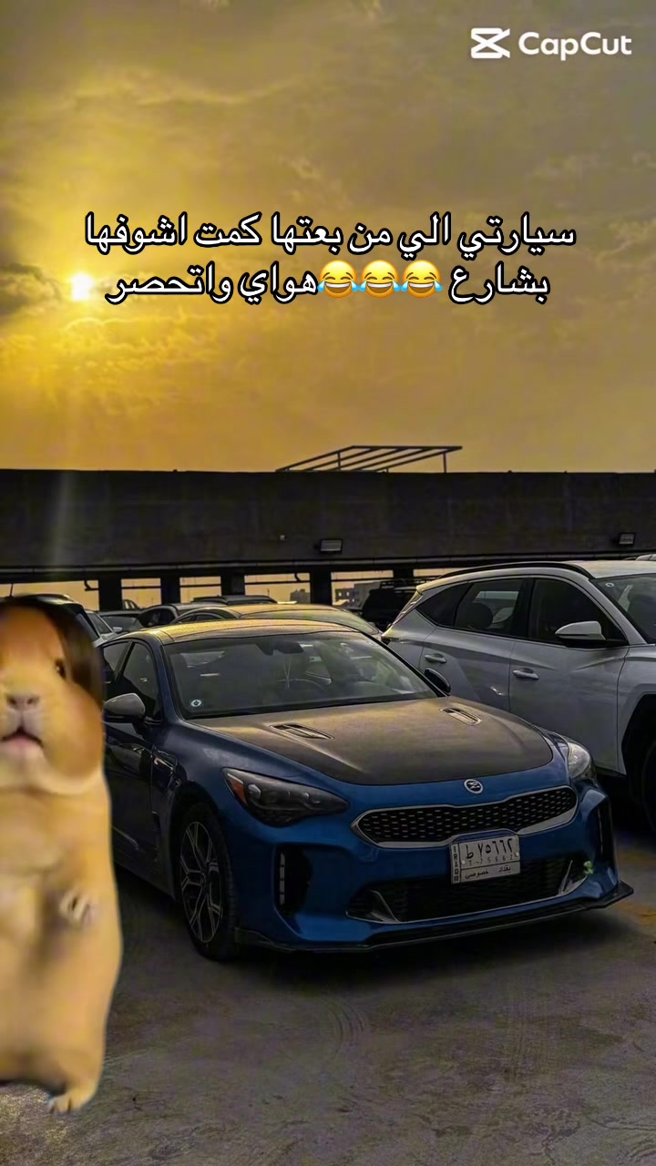 @Lubna _لبنى