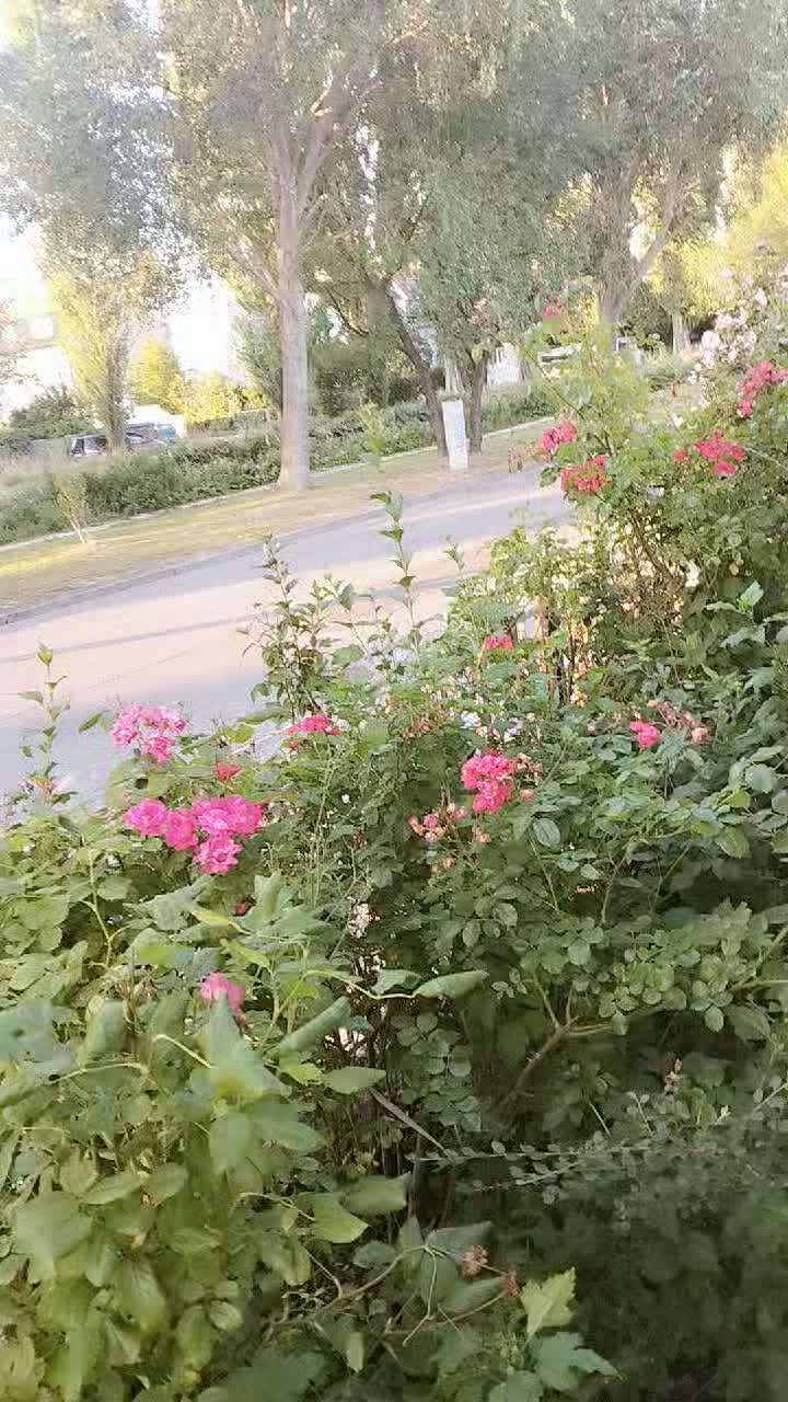 @floredanadelia2023