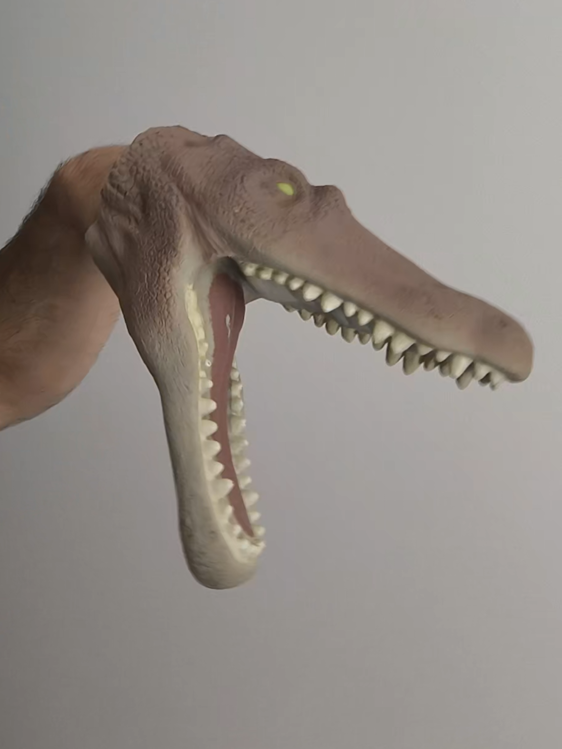 @FLOSHARK